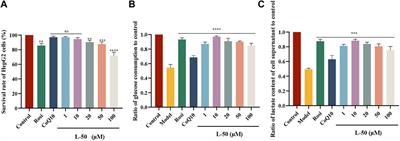 Investigation of anti-diabetic effect of a novel coenzyme Q10 derivative